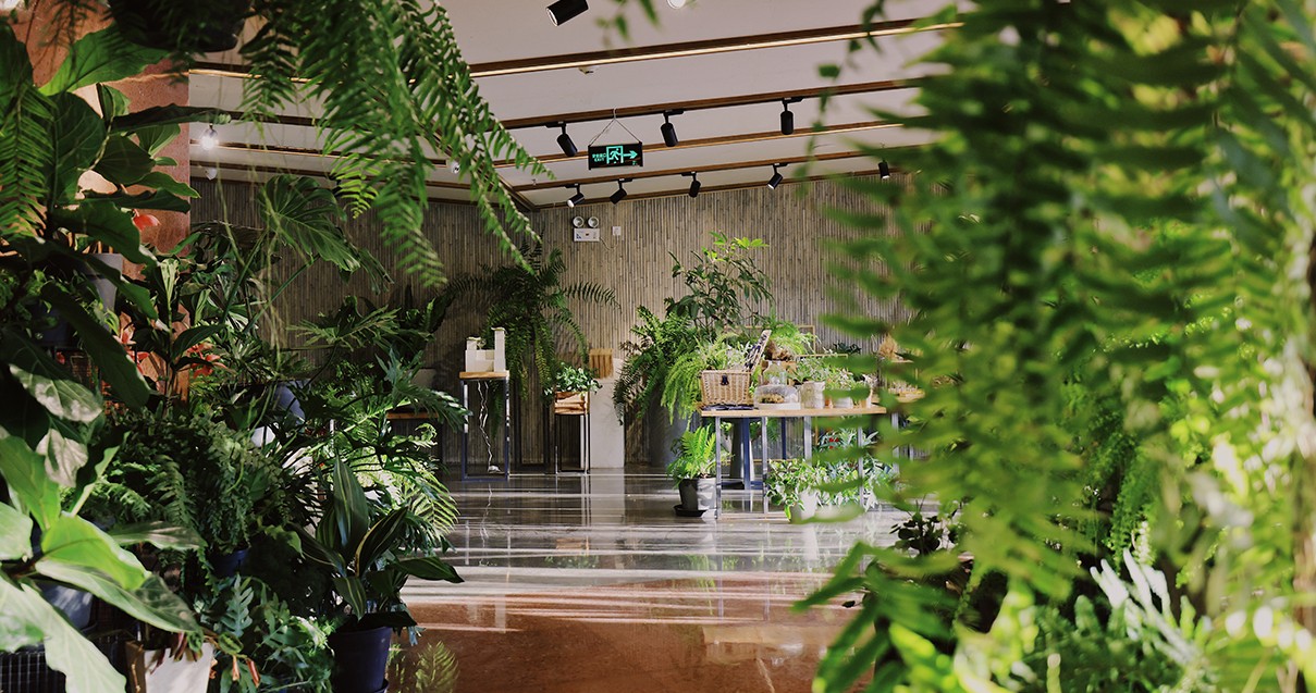 asiagame奥莱·滇池小镇