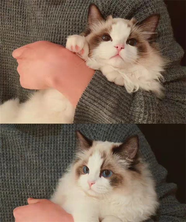 asiagame(中国游)官方网站